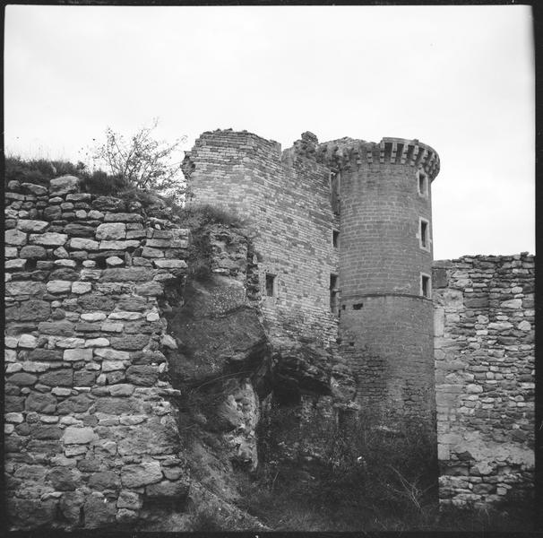 Donjon et enceinte en ruines