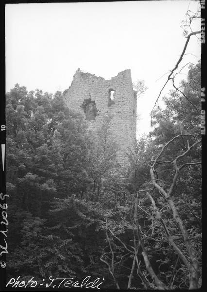 Tour en ruines