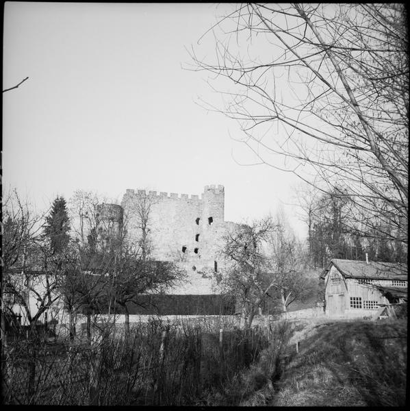 Ensemble des ruines depuis des maisons