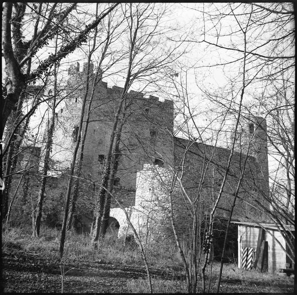 Corps de logis et tour en ruines