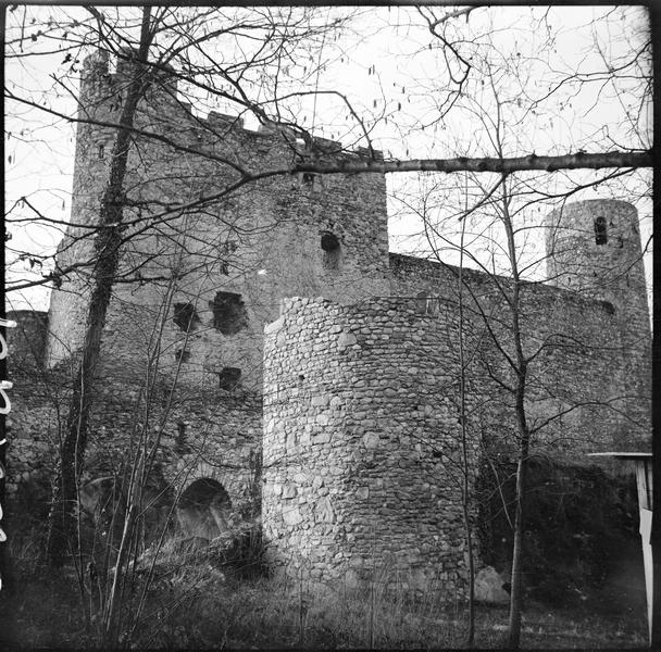 Corps de logis et tour en ruines