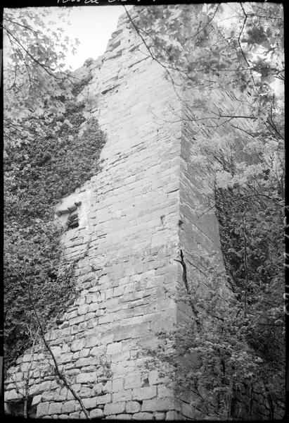 Tour en ruines