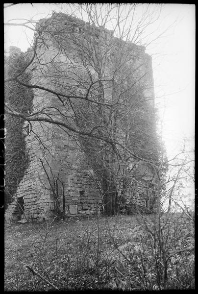 Tour en ruines