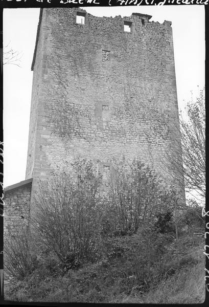 Donjon en ruines