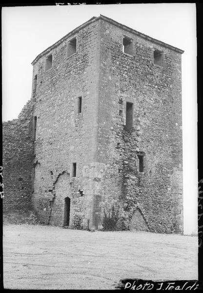 Donjon en ruines