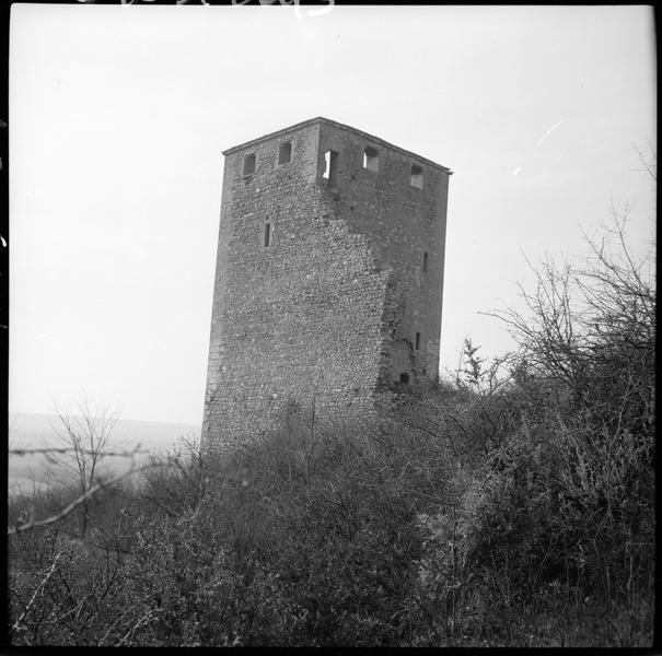 Donjon en ruines