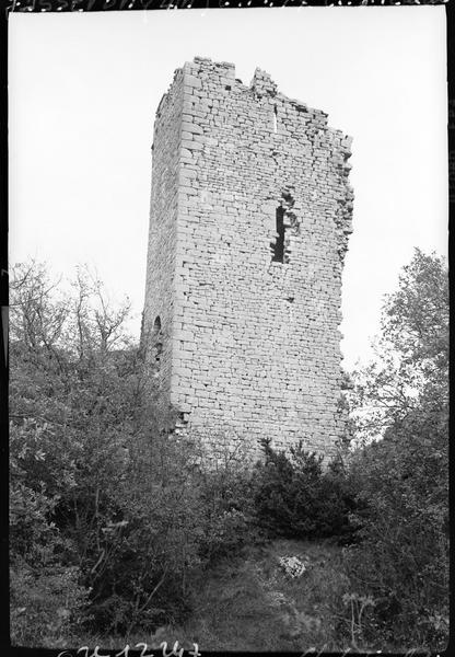 Donjon en ruines