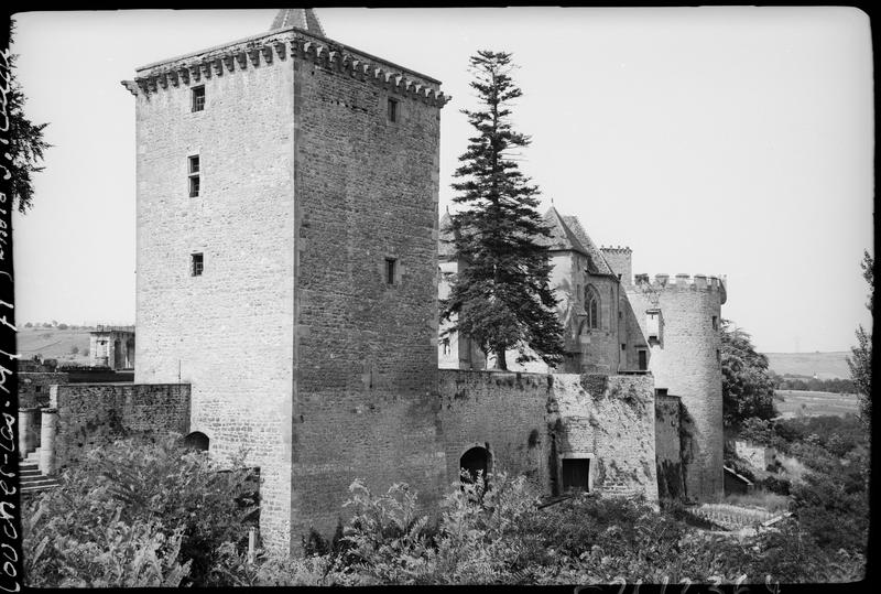 Enceinte, donjon, entrée et chapelle