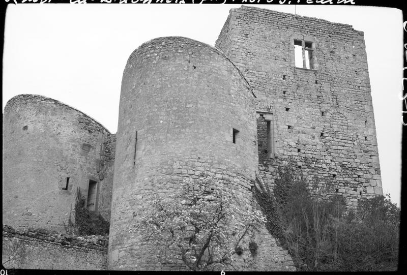 Donjon et tours en ruines