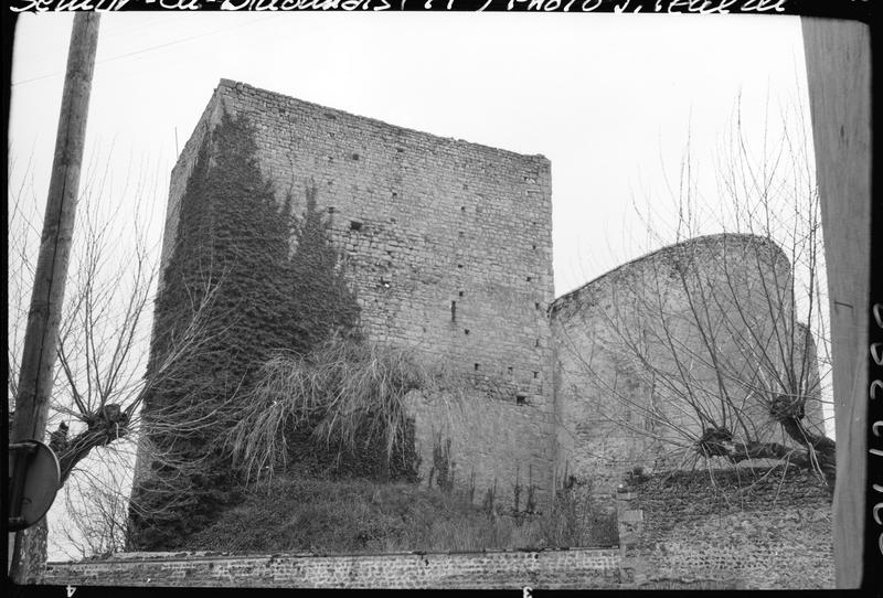 Donjon et tour en ruines