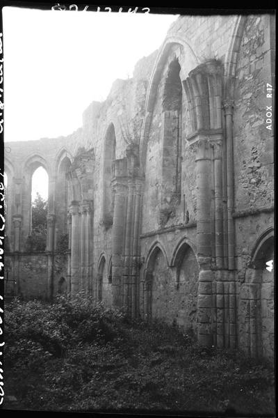 Ruines de la nef