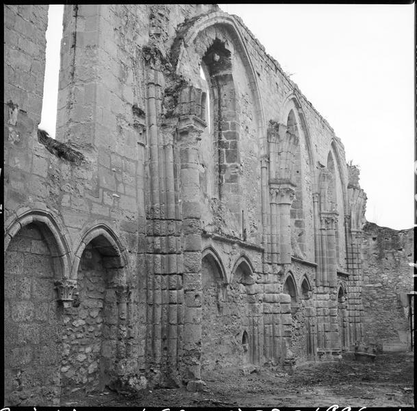 Ruines de la nef