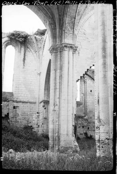 Ruines de la nef