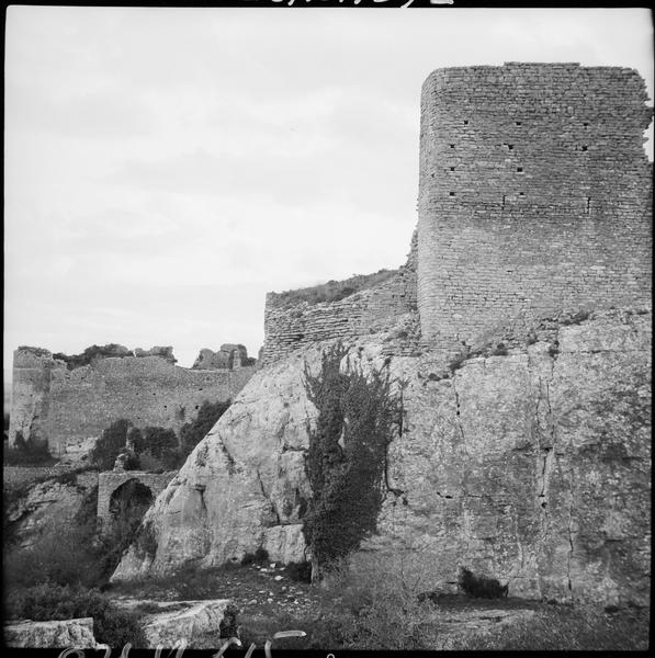 Enceinte et donjon en ruines