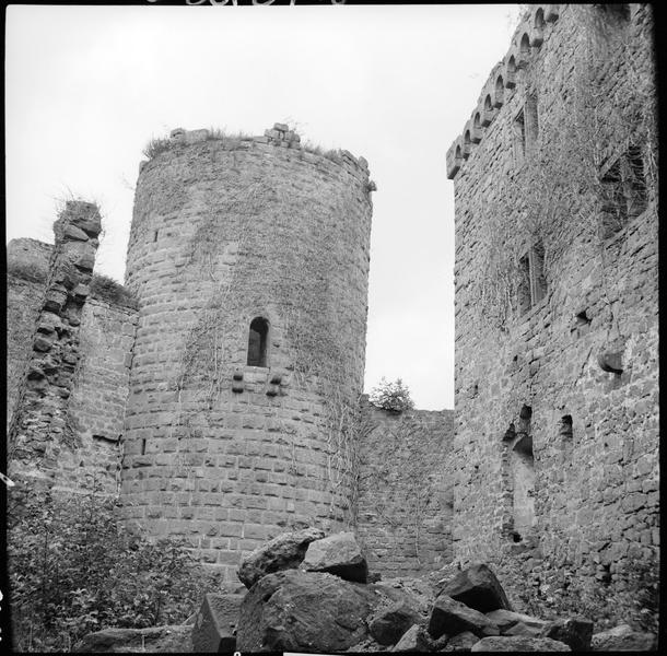 Donjon et corps de logis en ruines