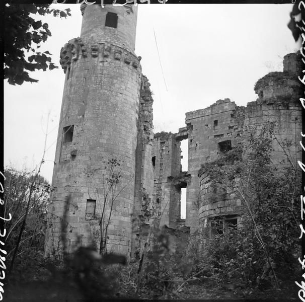 Tour et corps de logis en ruines