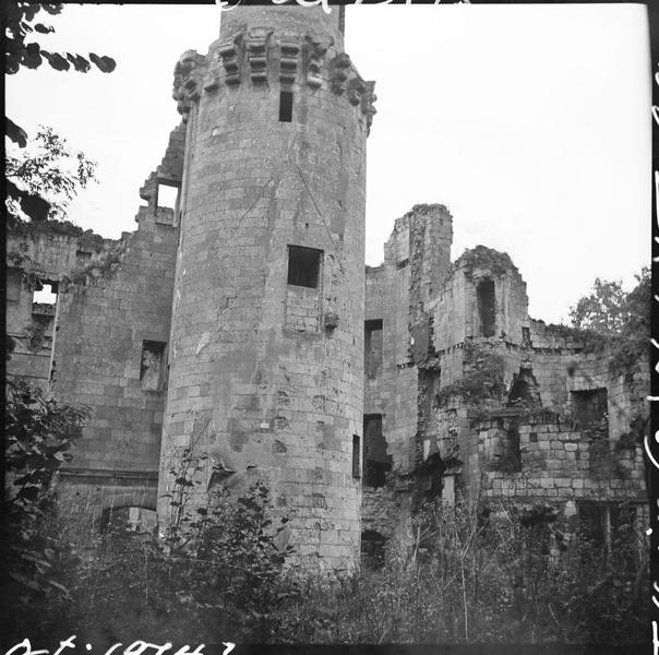 Tour et corps de logis en ruines