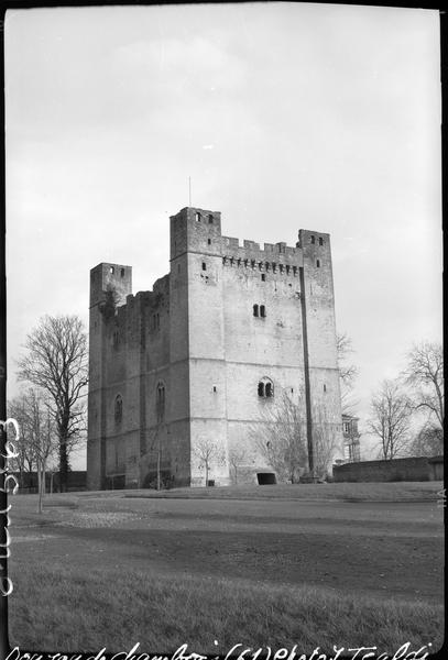 Donjon sur parc