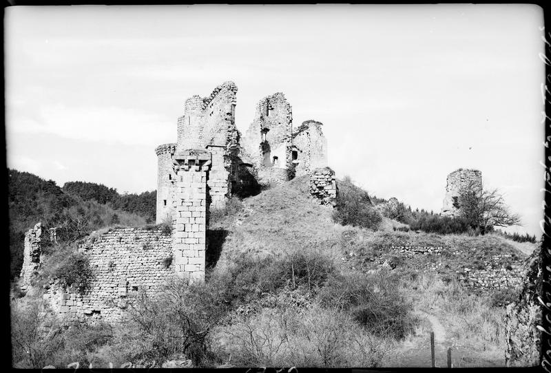 Logis et tour en ruines