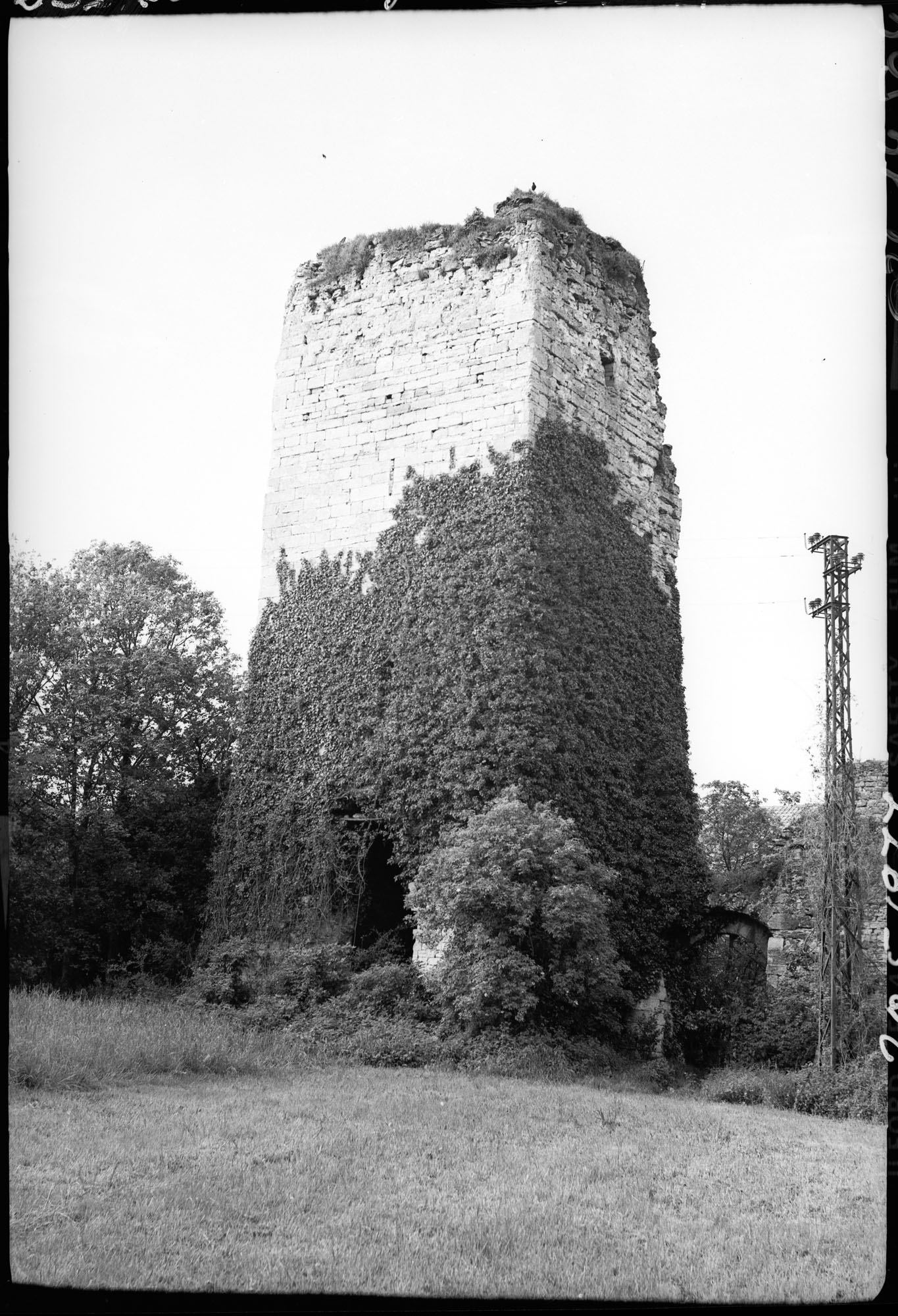 Donjon en ruines