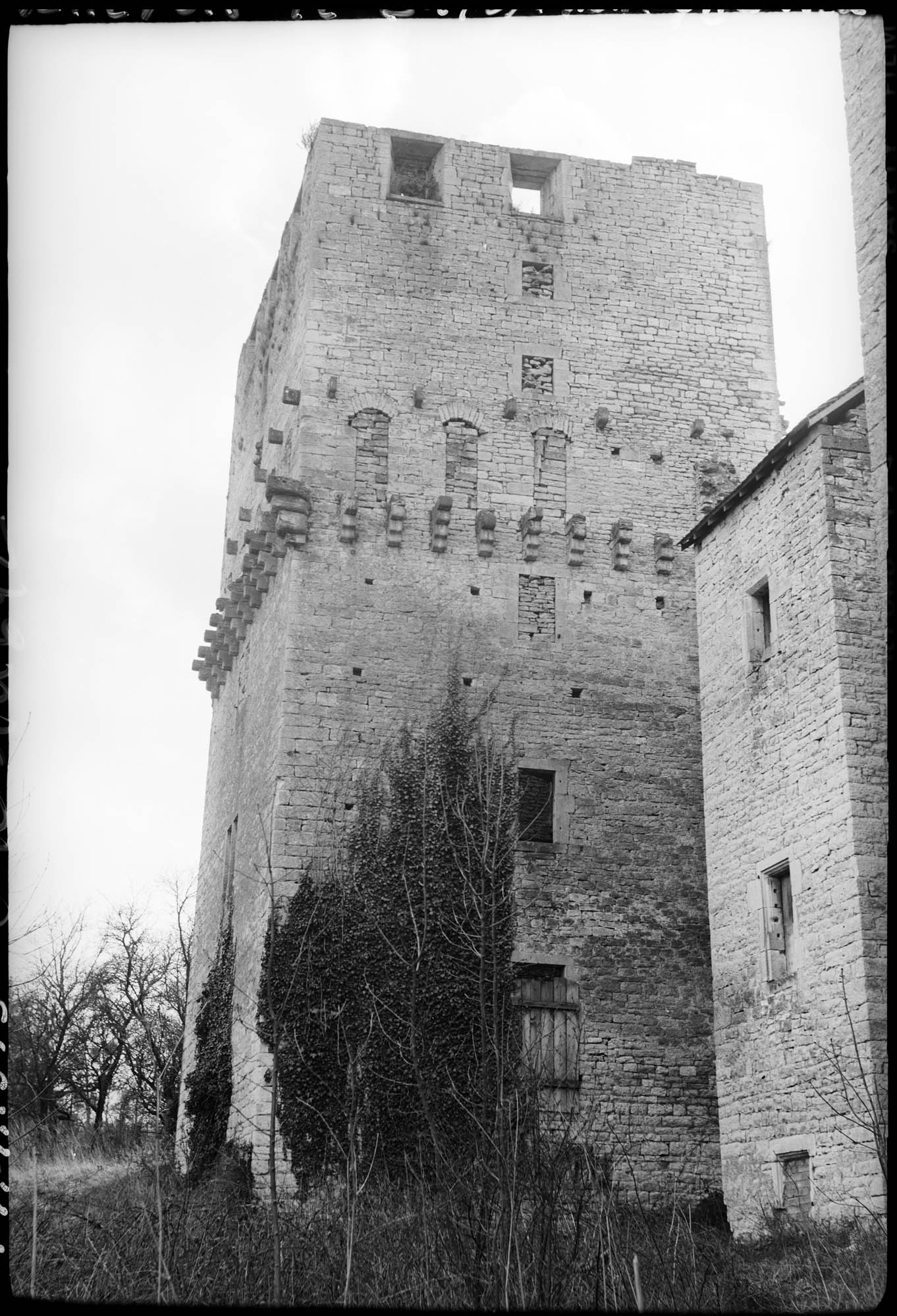 Donjon