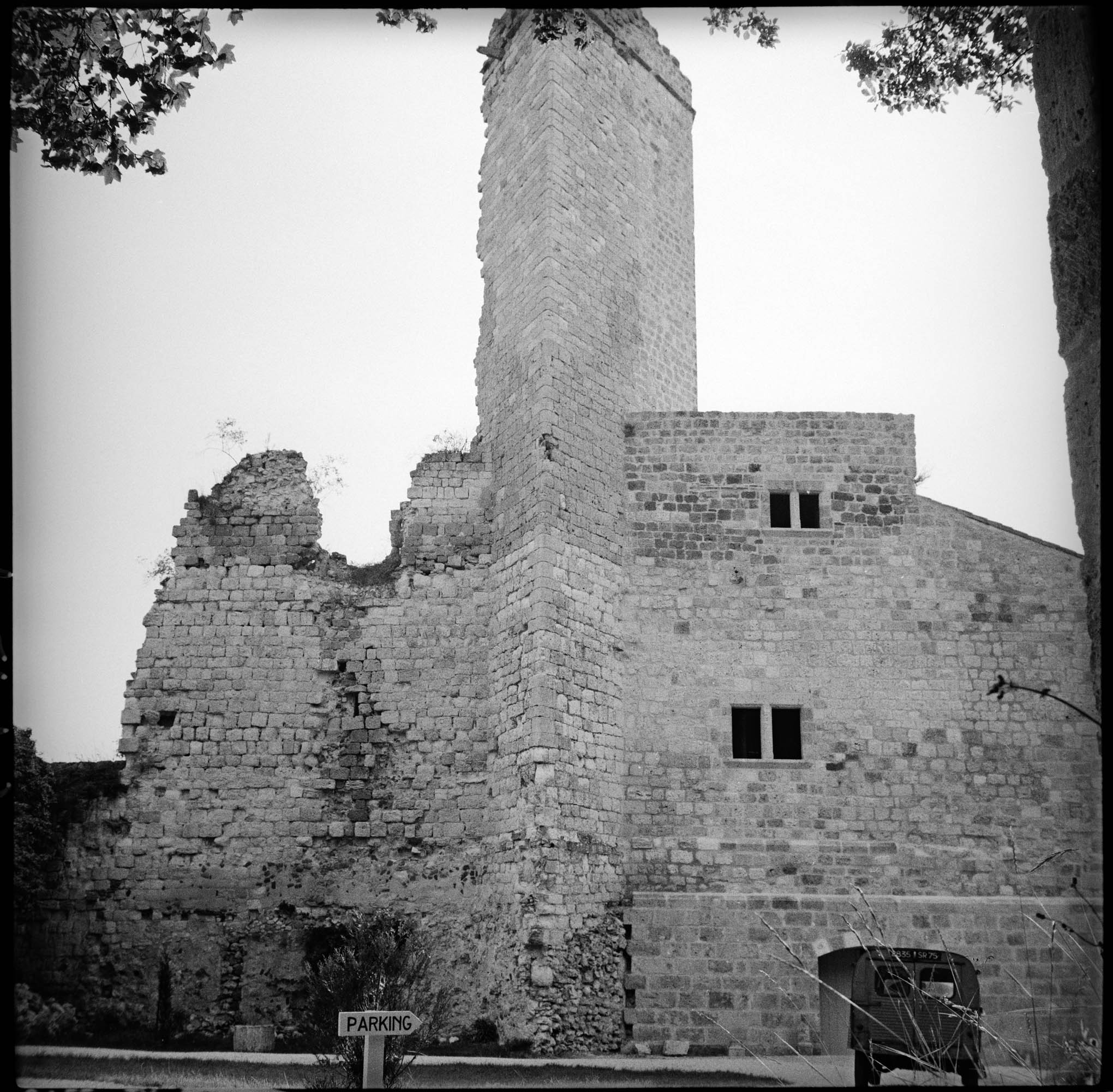 Donjon et logis en ruines