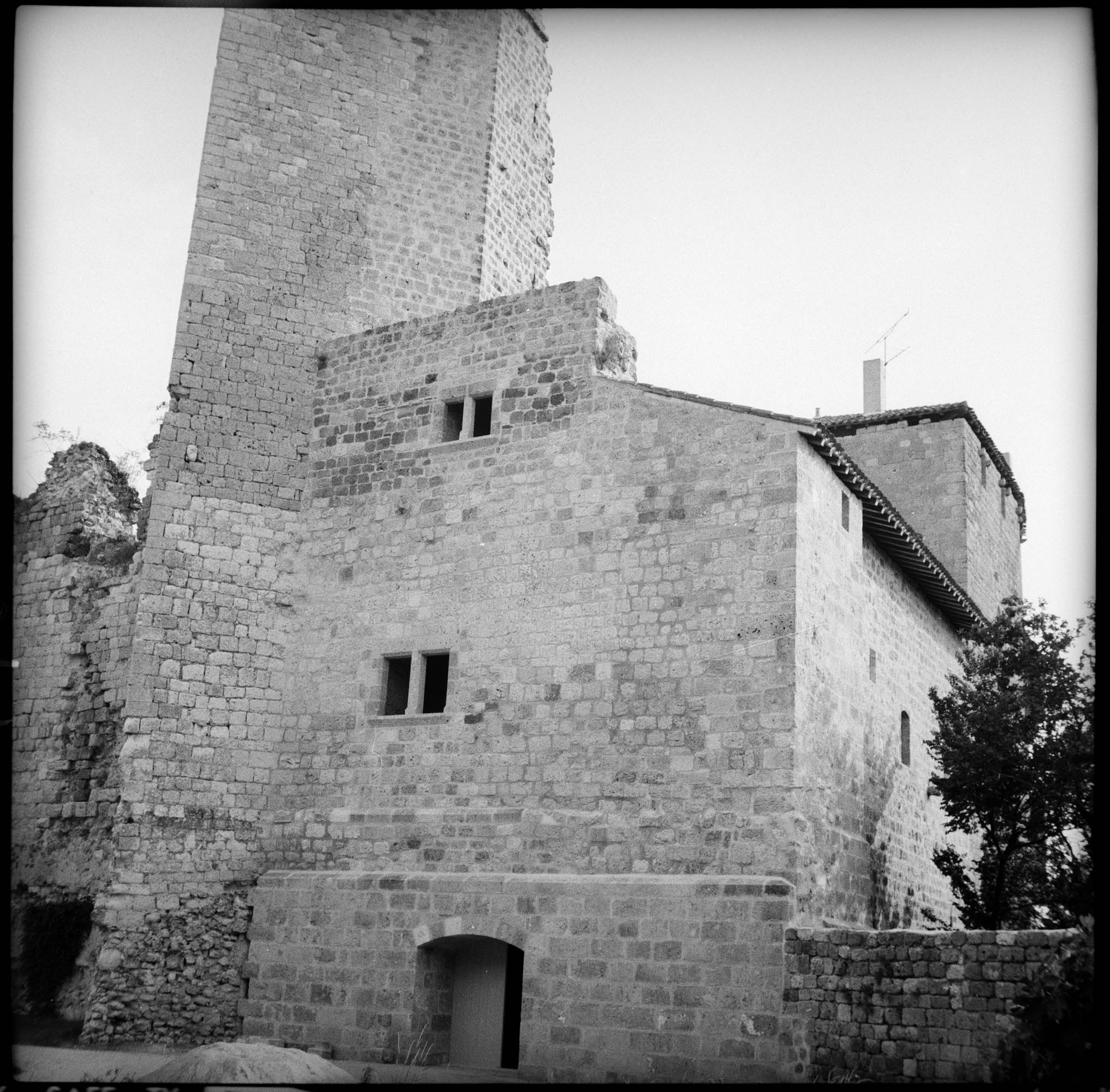 Donjon et logis en ruines