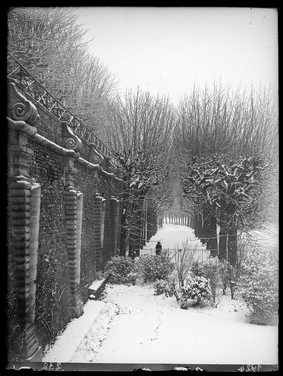 L’allée des tilleuls sous la neige