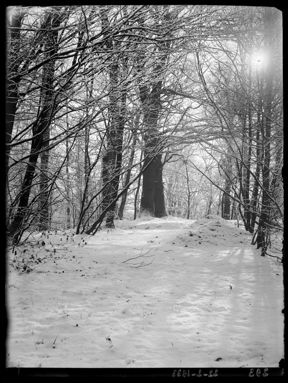 Tapis de neige à contre-jour