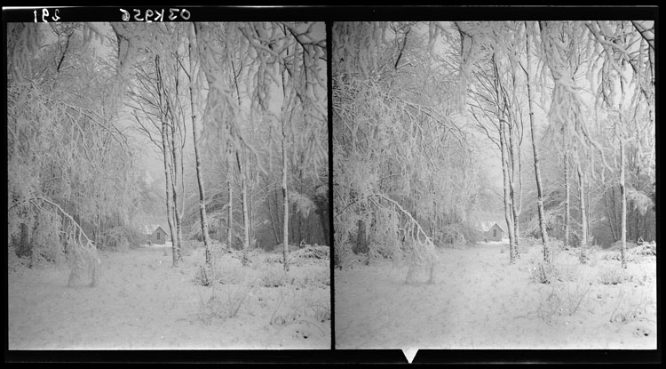 Neige : allée et cabane ; Petit sidérostat