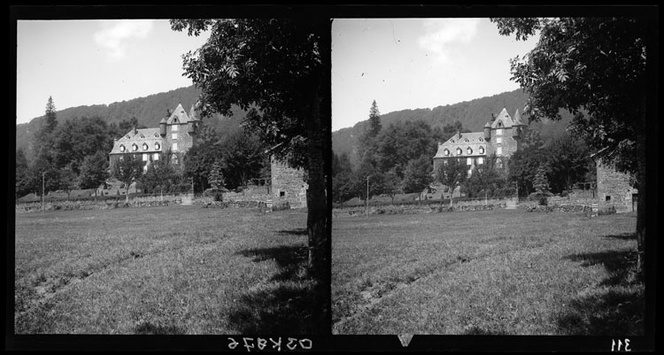 Château et prairie avoisinante