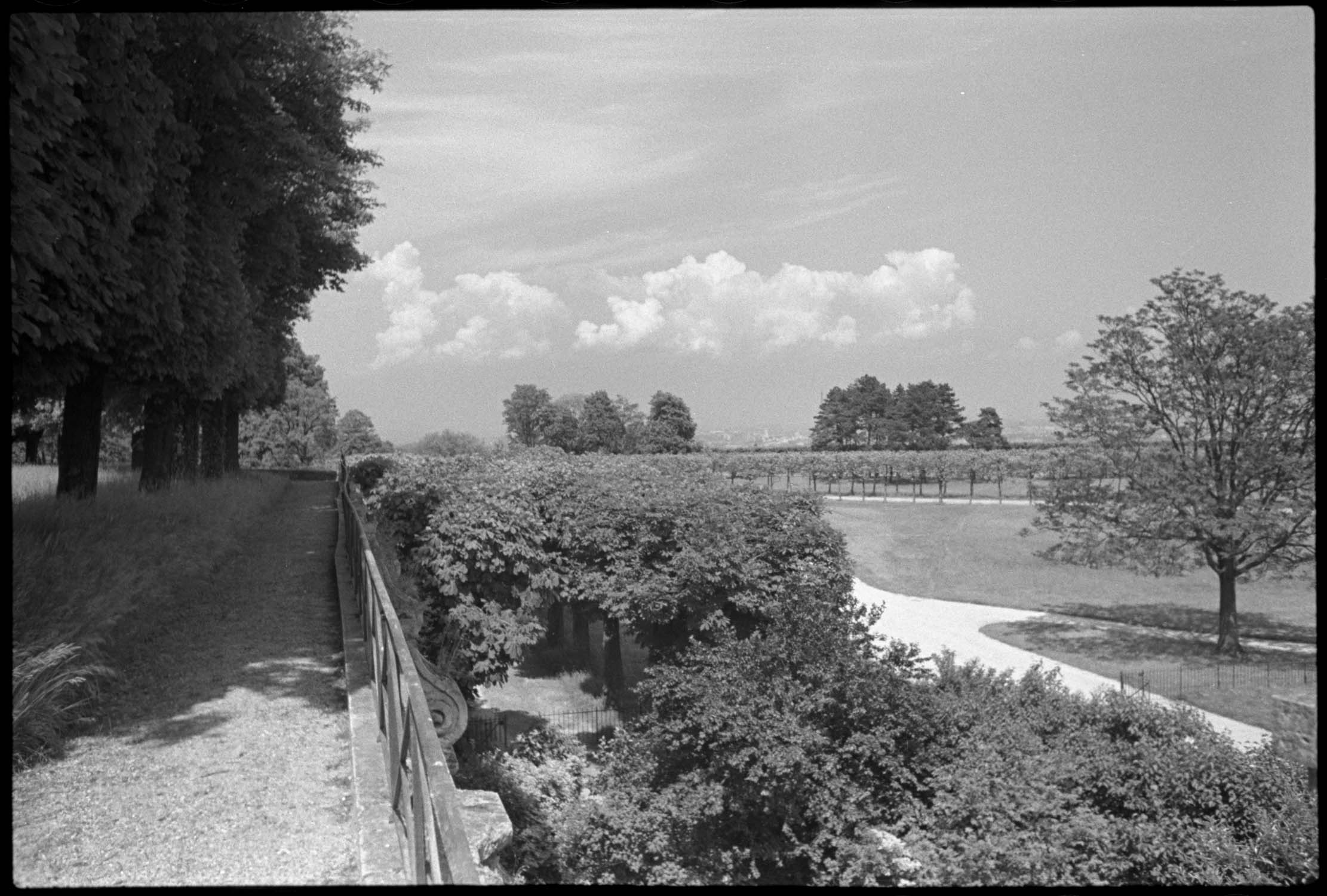 Deuxième terrasse : vue en direction du nord