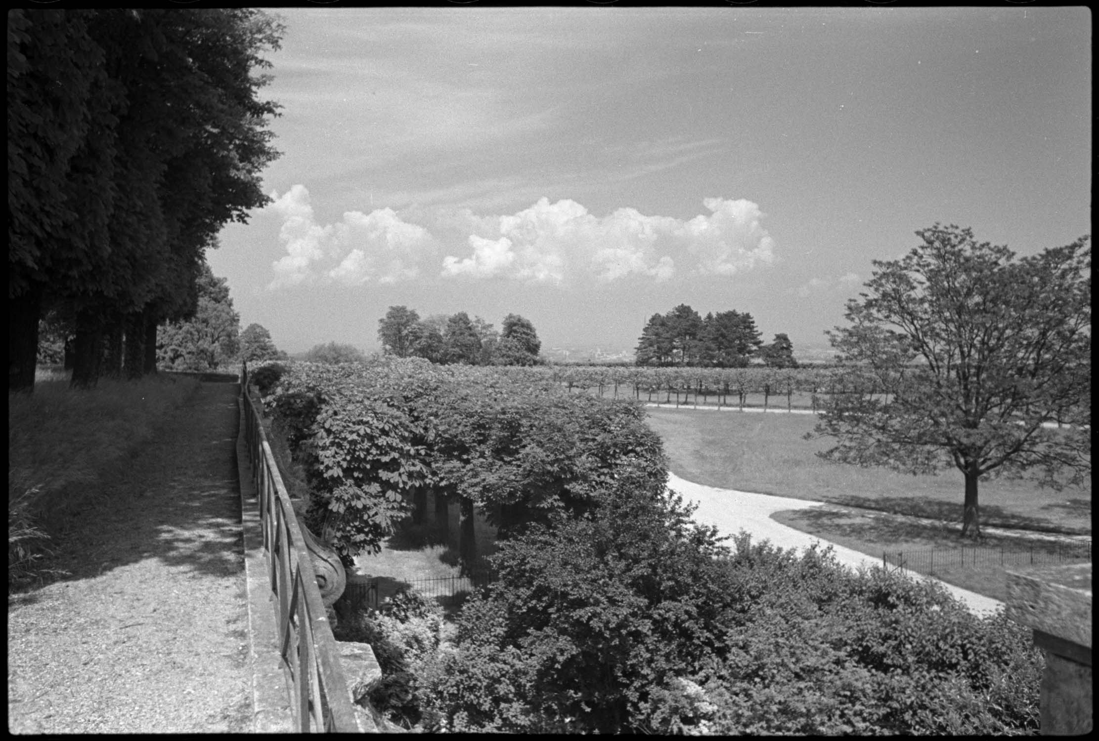 Deuxième terrasse : vue en direction du nord