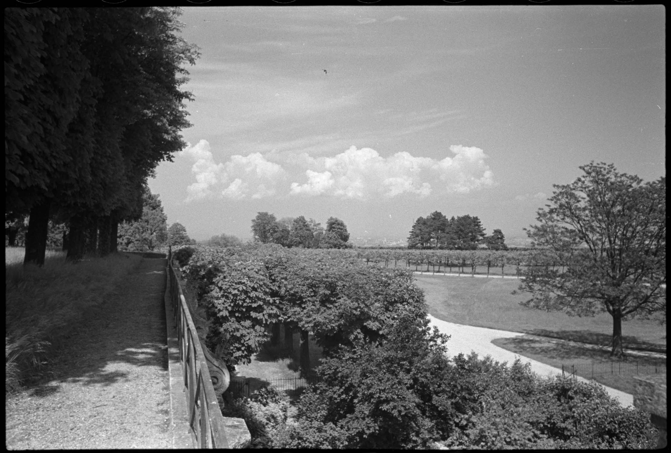 Deuxième terrasse : vue en direction du nord