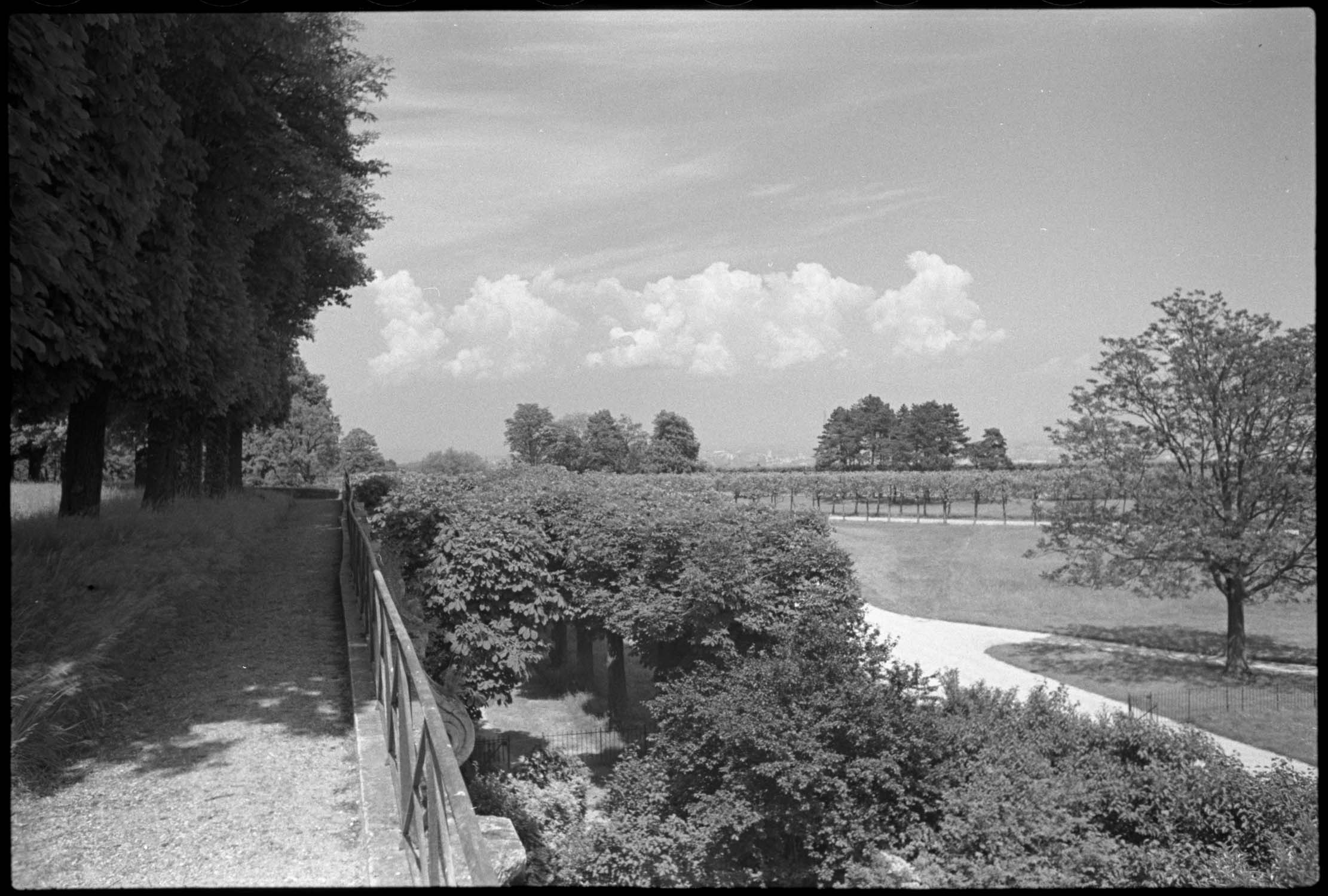 Deuxième terrasse : vue en direction du nord