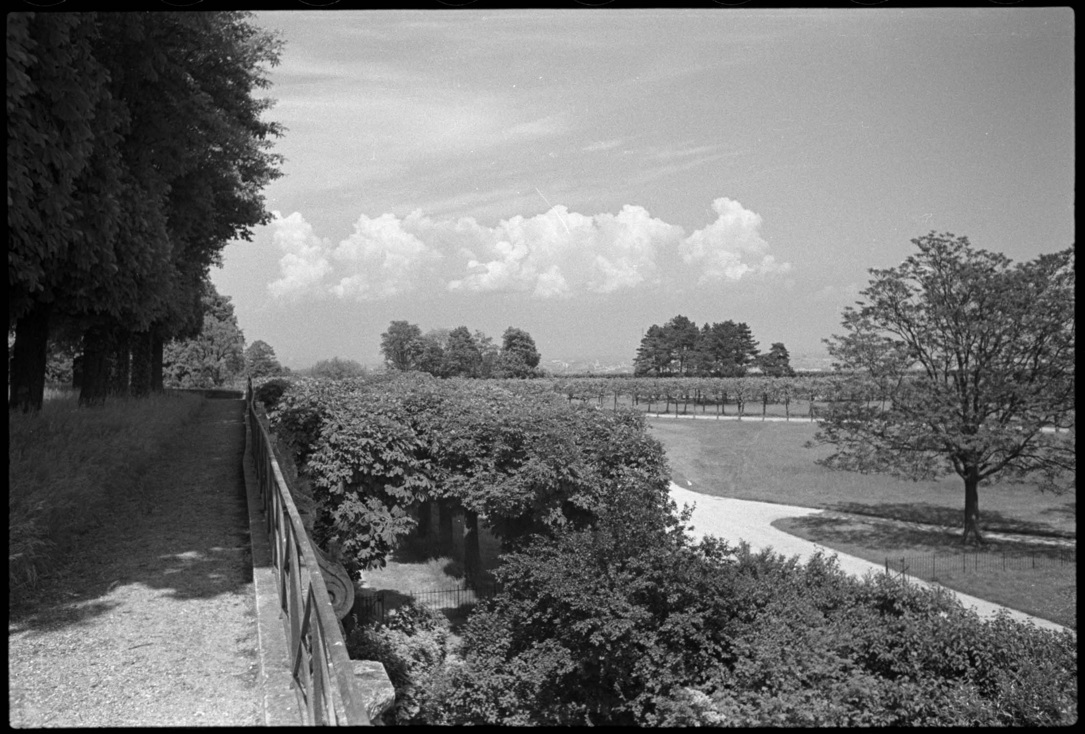 Deuxième terrasse : vue en direction du nord