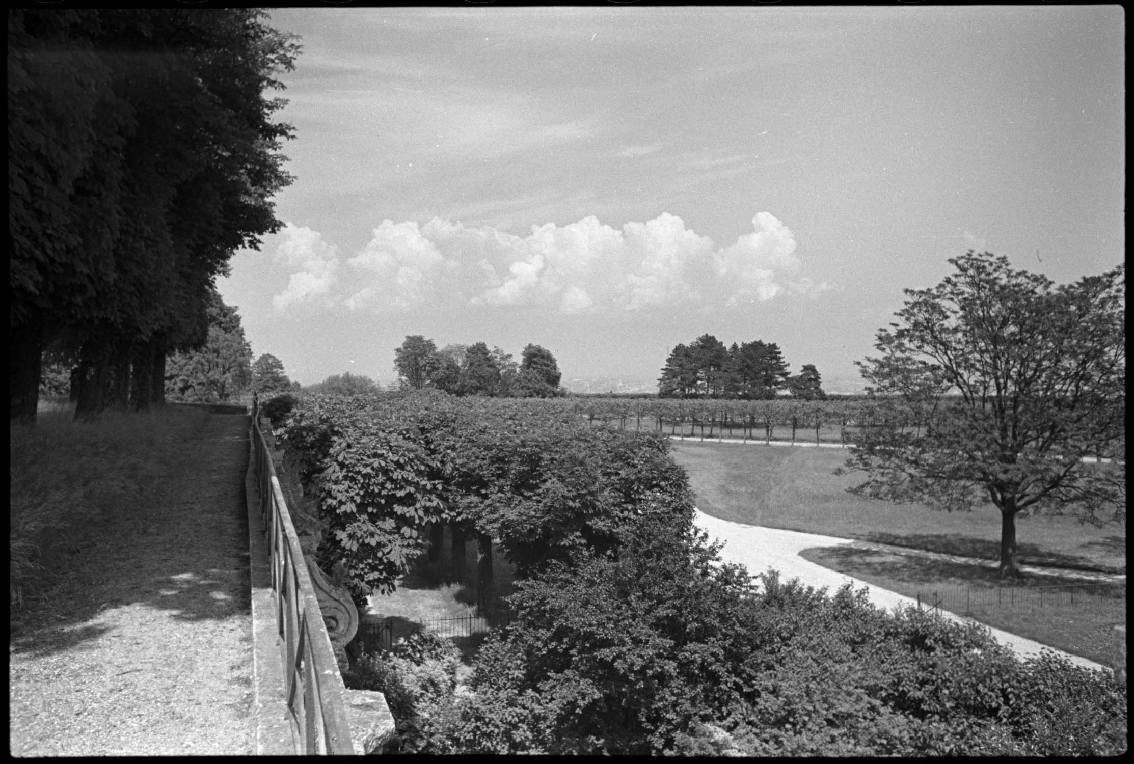 Deuxième terrasse : vue en direction du nord