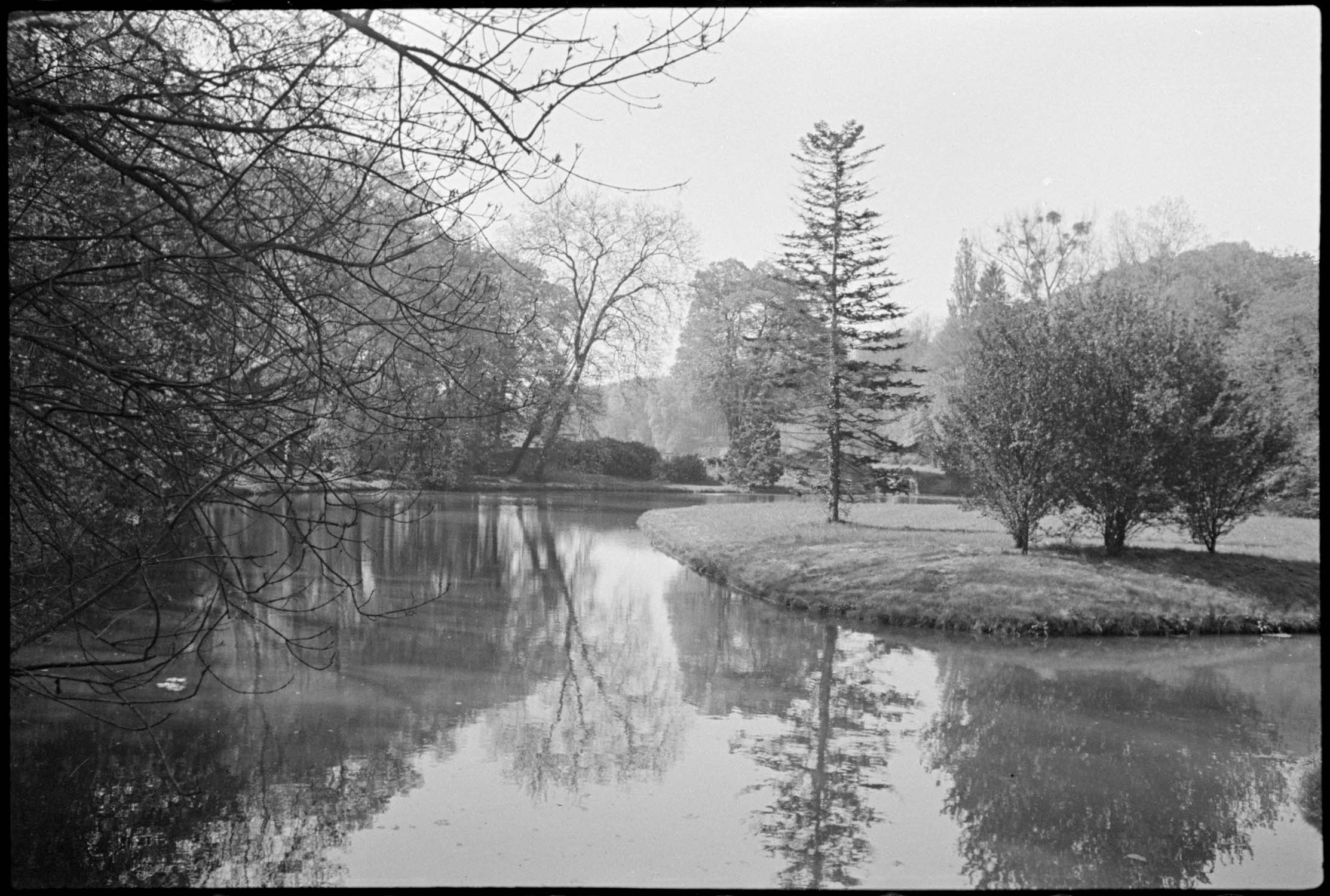 Grand parc et étang