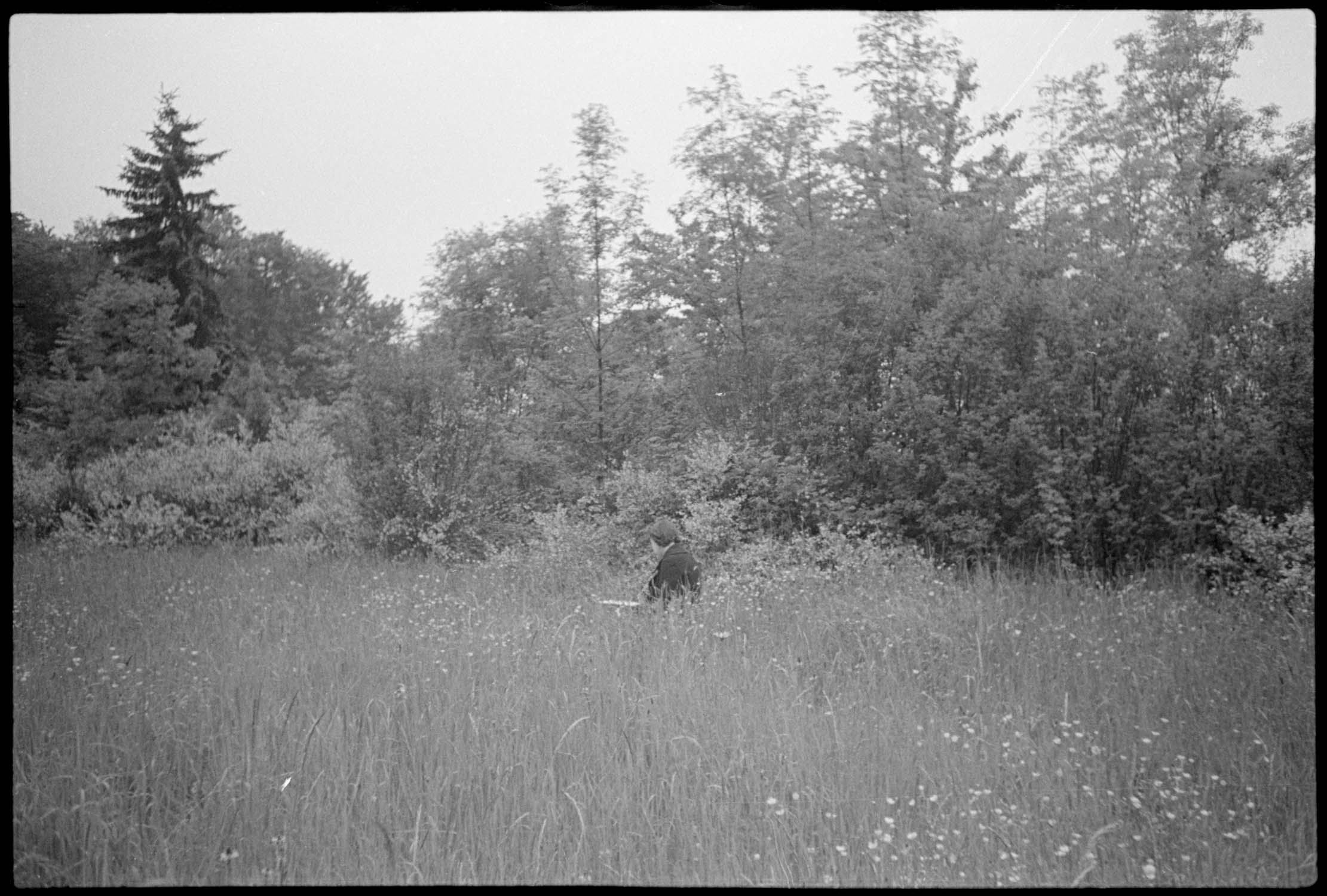 Jeanne Baldet lisant dans les hautes herbes