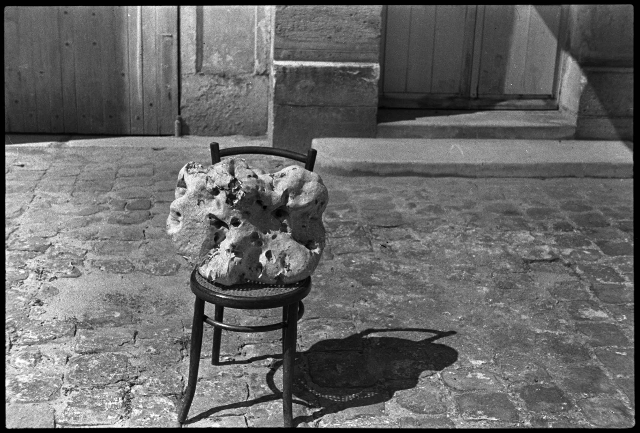 Tête de mort (champignon) gigantesque