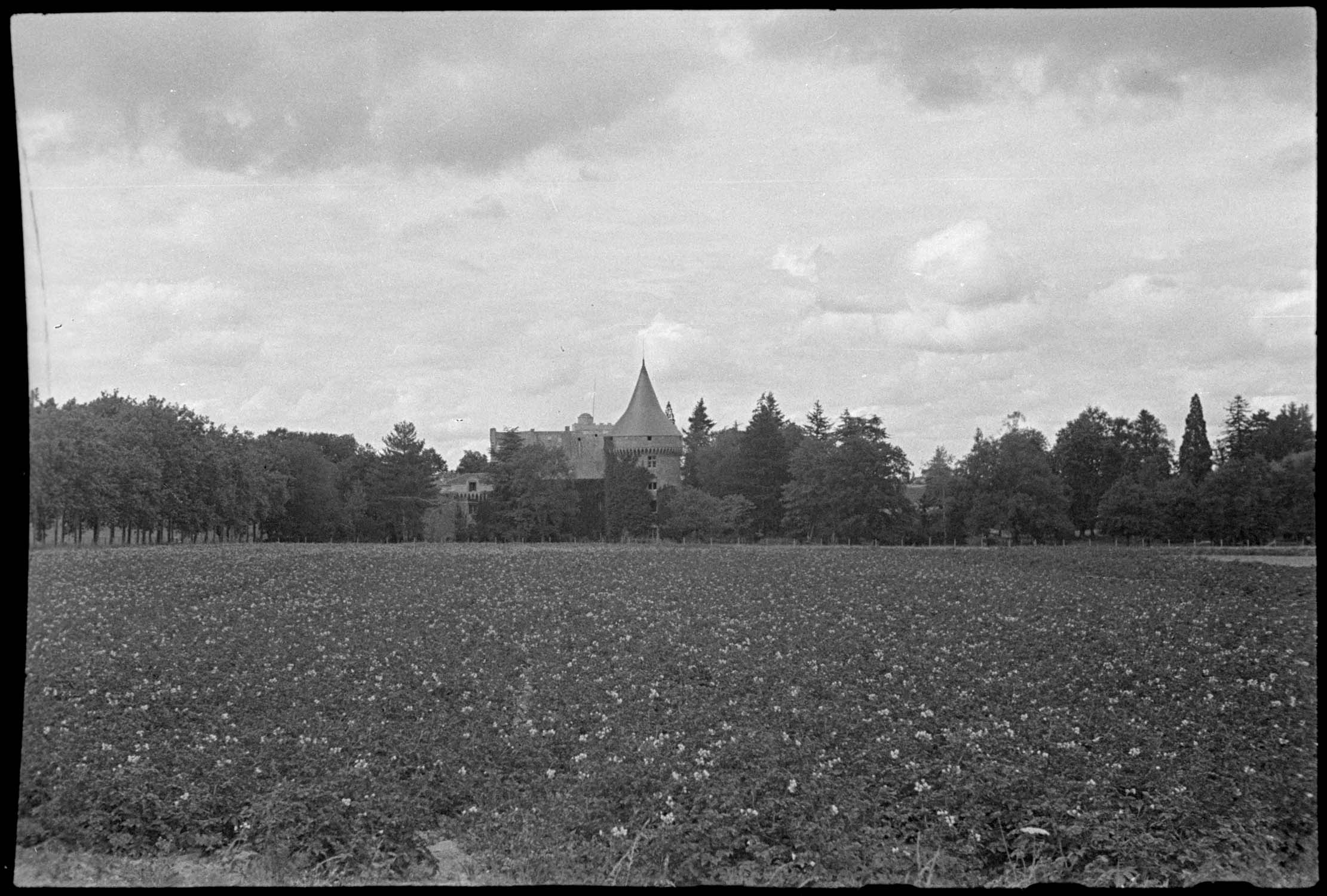 Château vu du parc