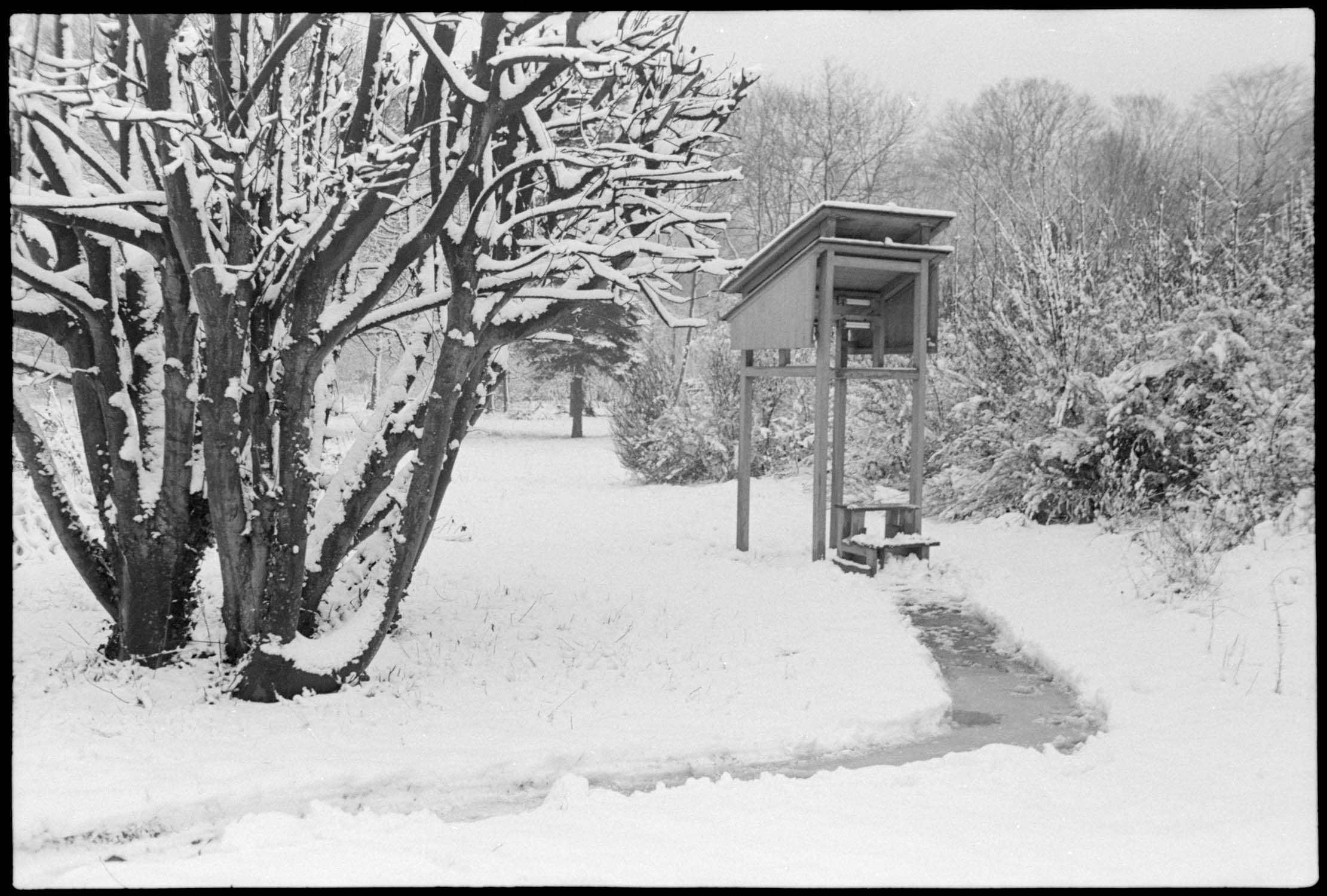 Neige : abri météorologique