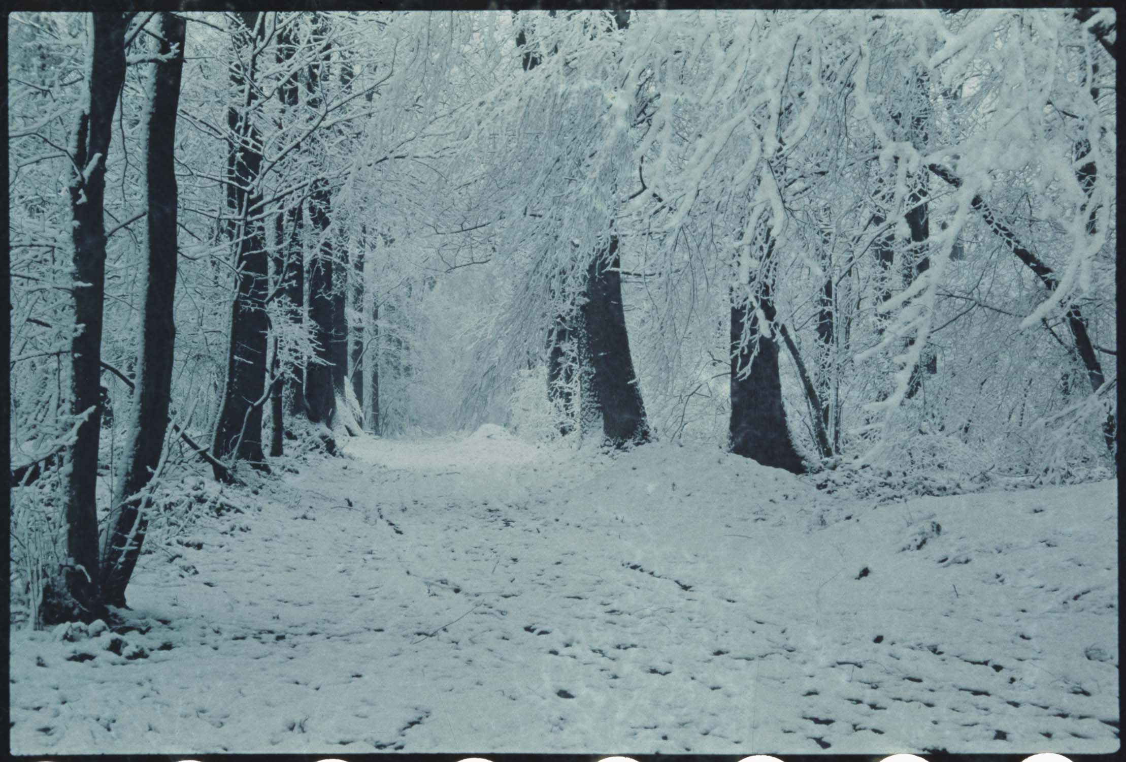 Neige : allée du Gladiateur