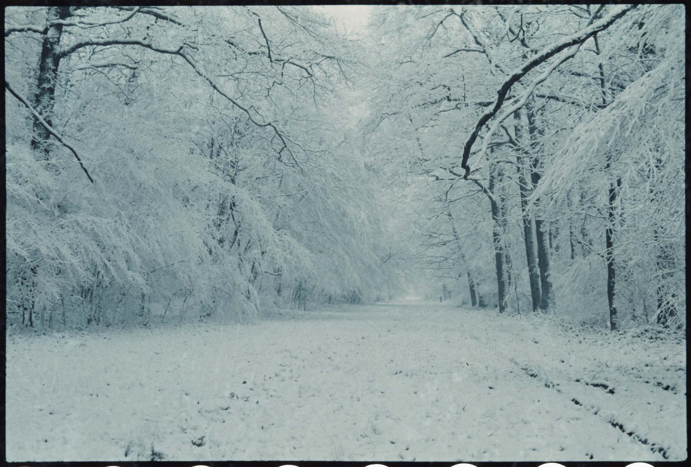 Neige : allée du Gladiateur