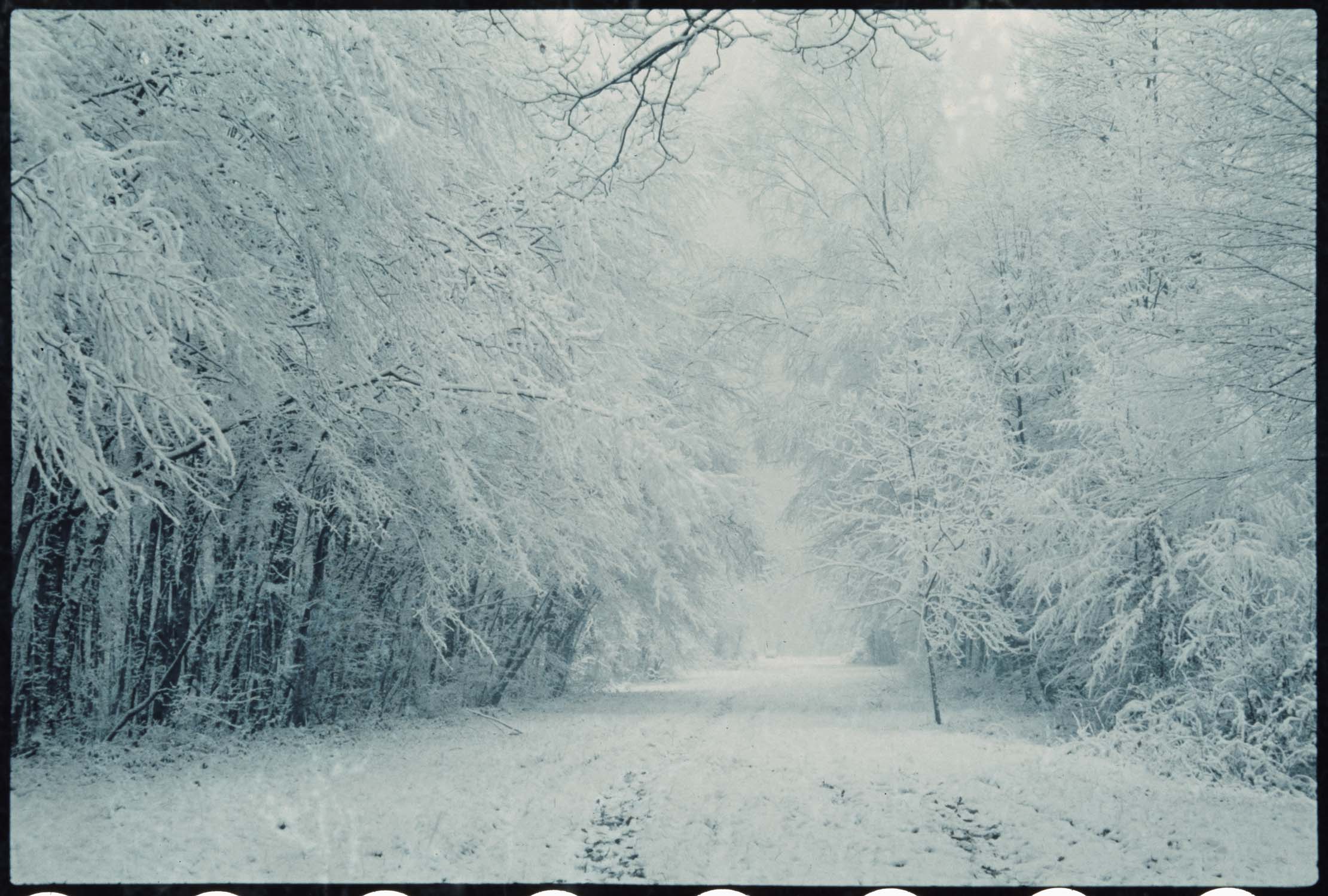 Neige : allée du Gladiateur