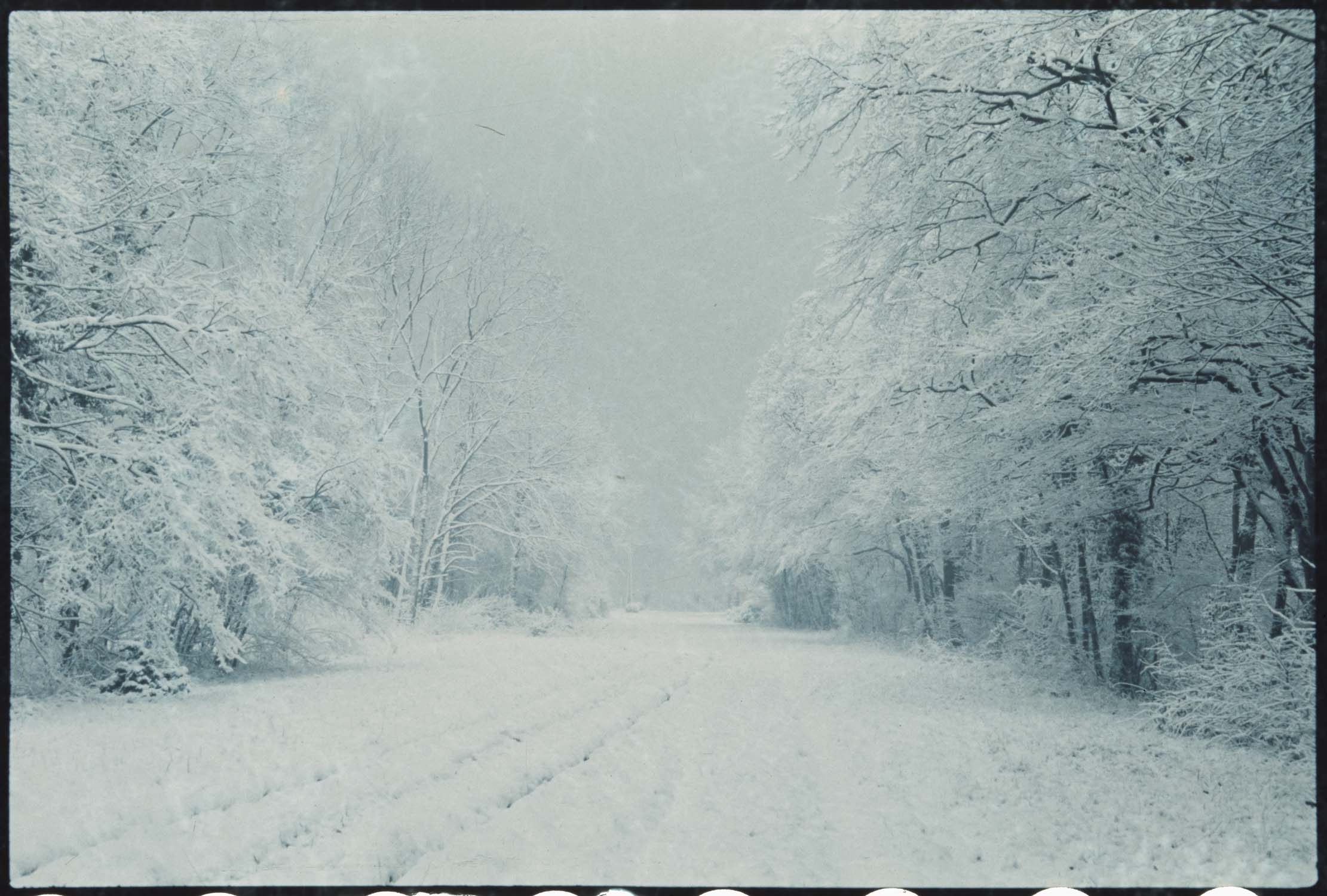 Neige : allée du Gladiateur