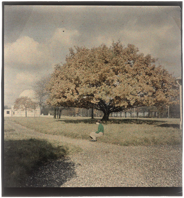 Femme assise sous un arbre jauni par l’automne