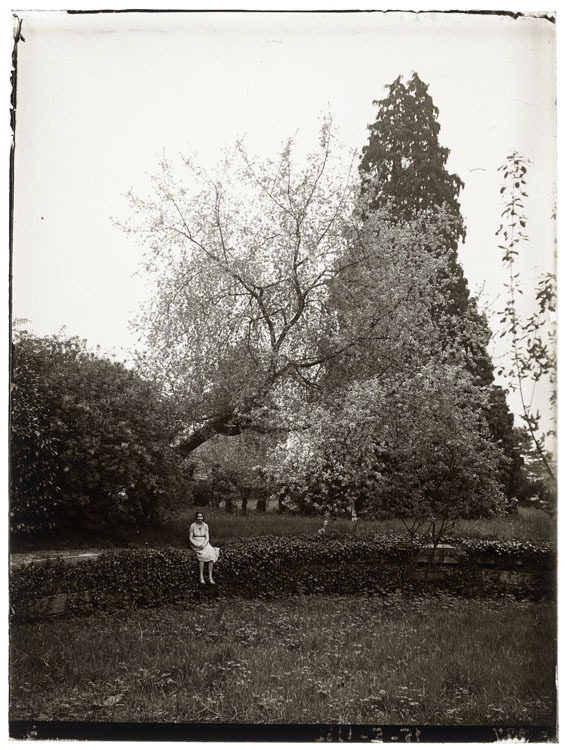 Arbre en fleur, grand sapin et Jeannette