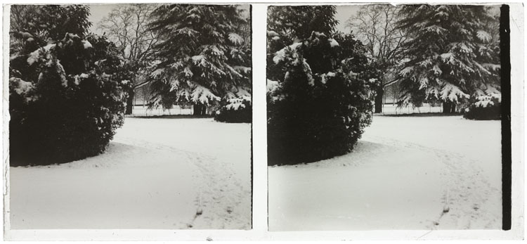 Allée du parc sous la neige