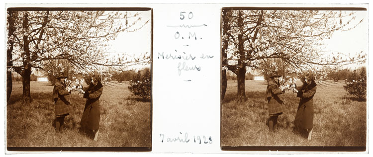 Marguerite et Jeannette Baldet à l’ombre d’un merisier en fleurs